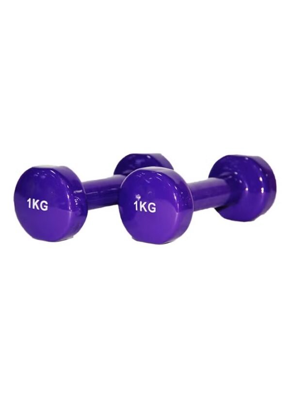 Generic Bjm Classical Head Vinyl Dumbbells 2 In 1kg Purple