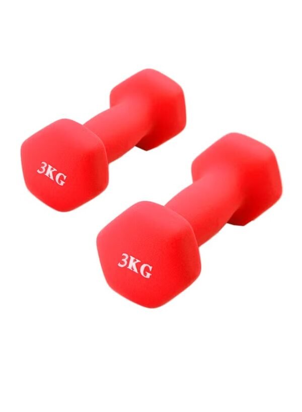 Generic Bjm 2-Piece Hexagon Dumbbell Set 3kg