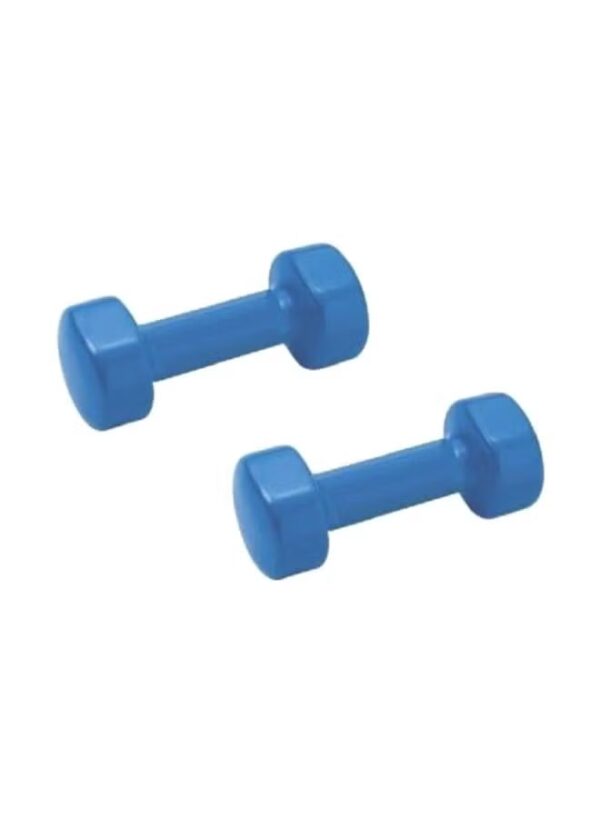 Generic Bjm Set Of Dumbbells 2 In 4kg Blue