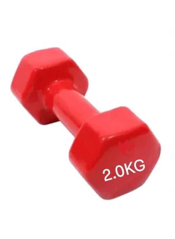 Weight Lifting Training Dumbbell Set 2kg