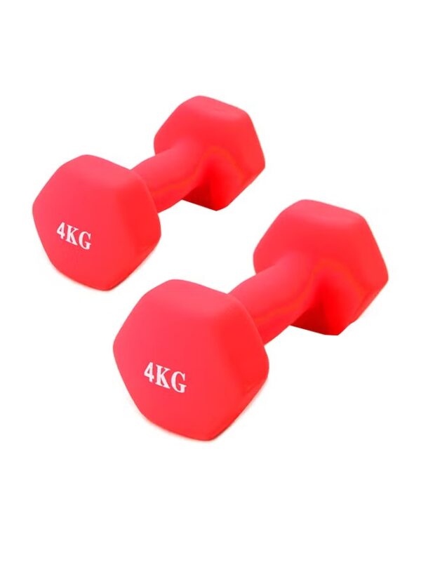 Generic Bjm 2-Piece Hexagon Dumbbell Set 4kg