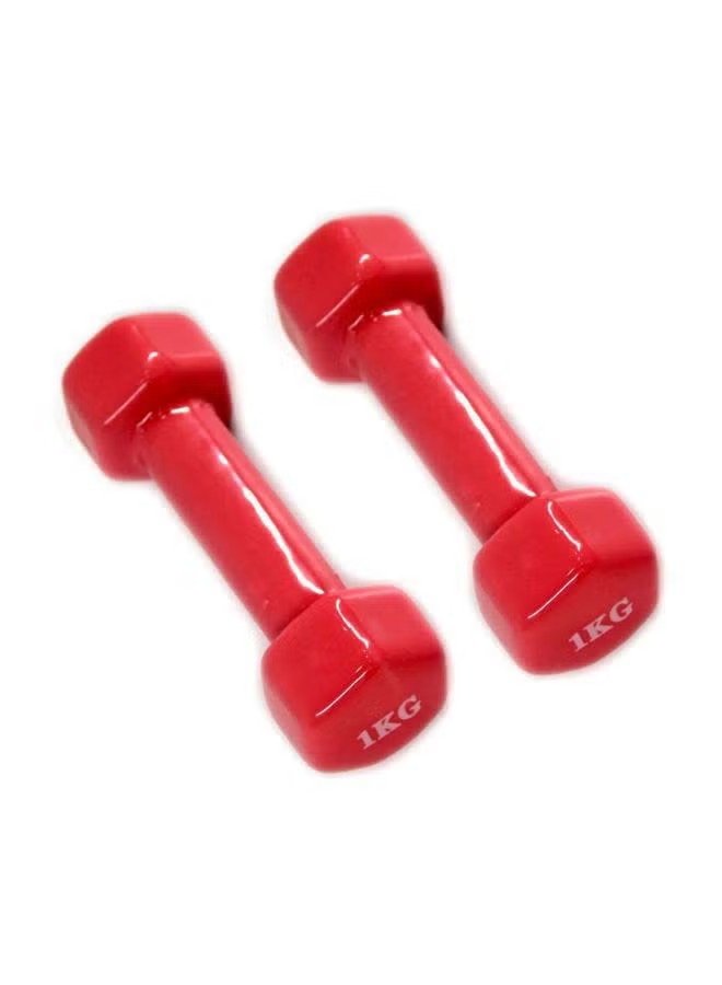 Generic Bjm 2-Piece Dumbbell Set 1kg - Image 2