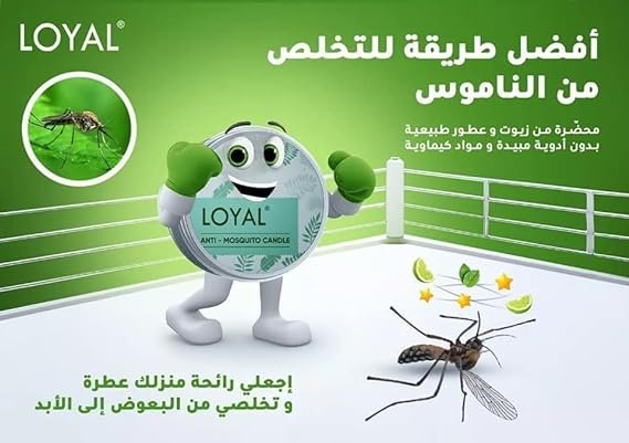 LOYAL Anti-Mosquito Candle with A Fresh Natural Scent (Mint & Pine) - long Burning - Tealight Candles - Image 3