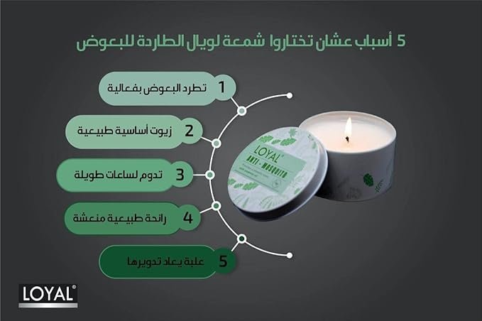LOYAL Anti-Mosquito Candle with A Fresh Natural Scent (Mint & Pine) - long Burning - Tealight Candles - Image 2